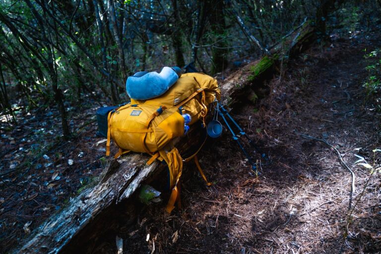Essential Travel Supplies for Every Adventure You Plan